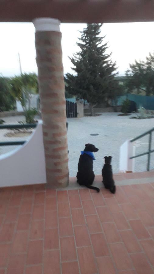 Alojamento Local Patudos, Suite Com Terraco Privado Tavira Esterno foto